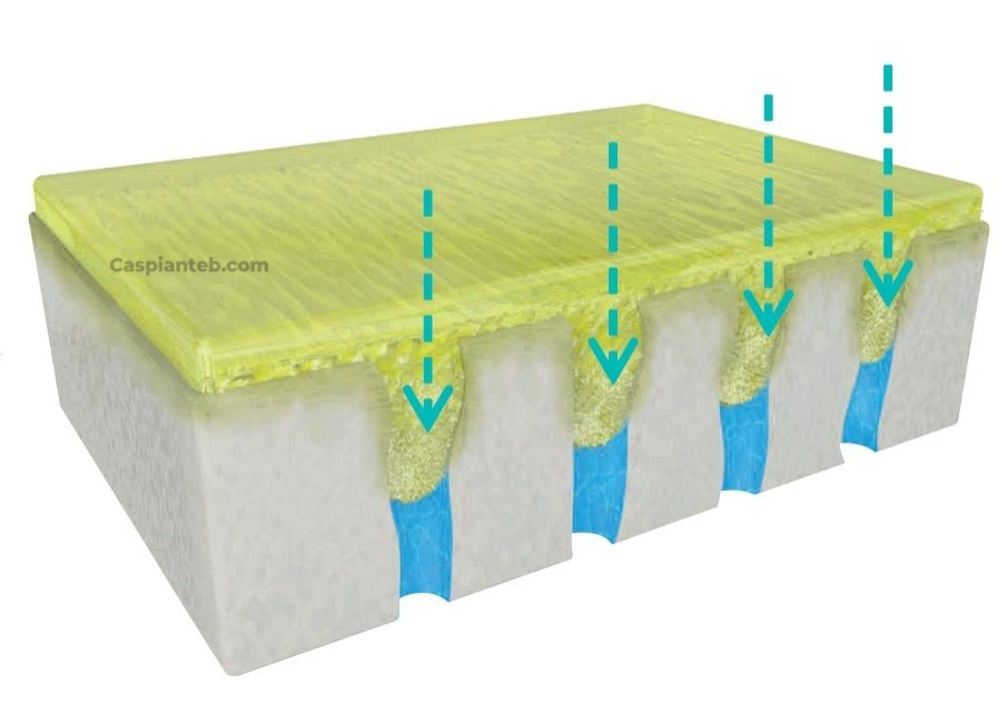 Clearfil Tri-S Bond